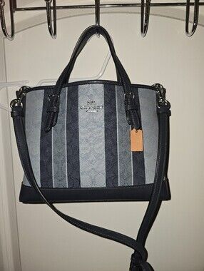 Coach Mollie Tote 25